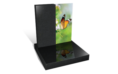 Section 011 – Papillon Éphémère